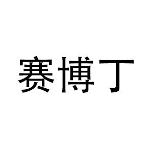 赛博丁