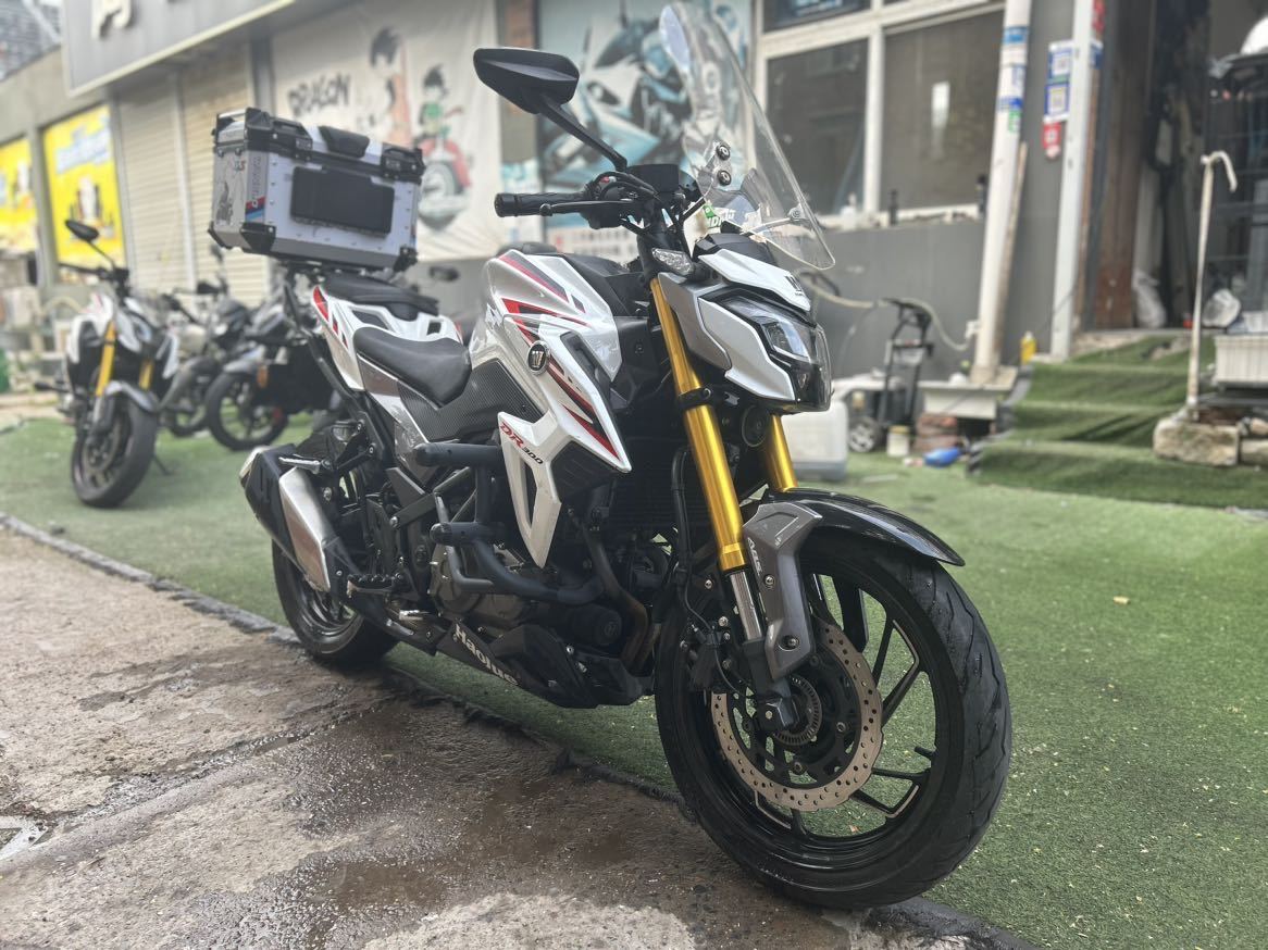 豪爵 DR300