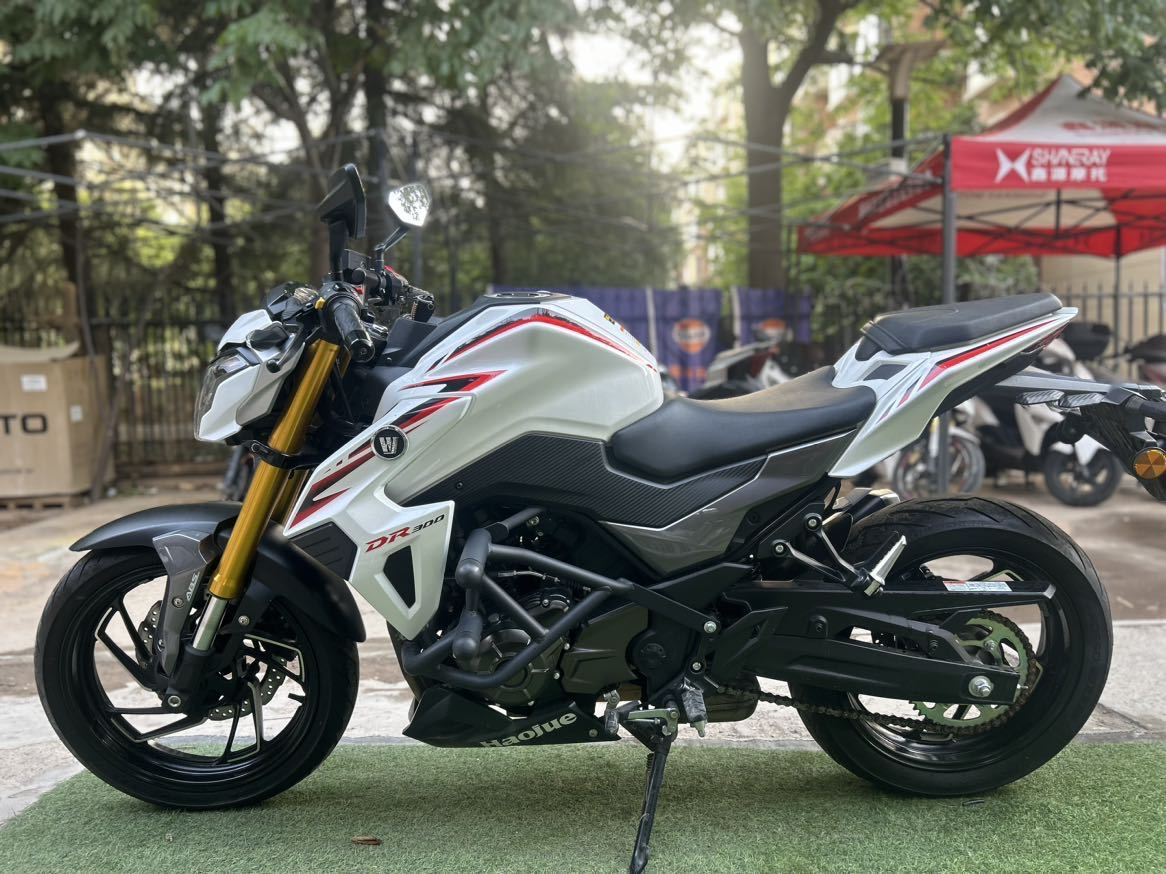 豪爵 DR300