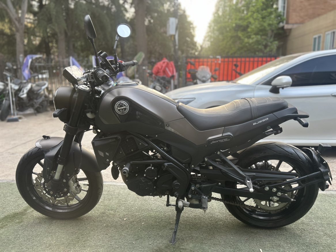贝纳利 幼狮 Leoncino 250