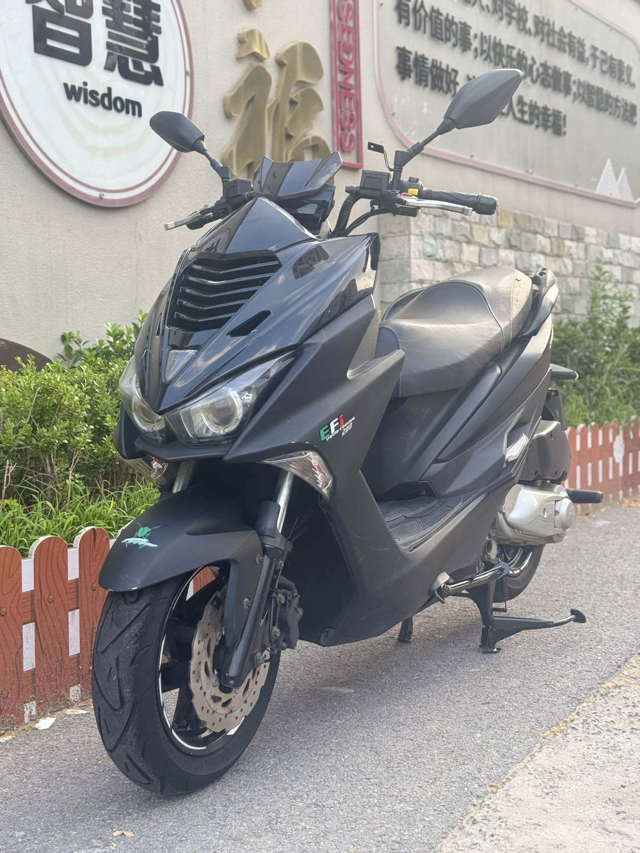 金城 草蜢 200
