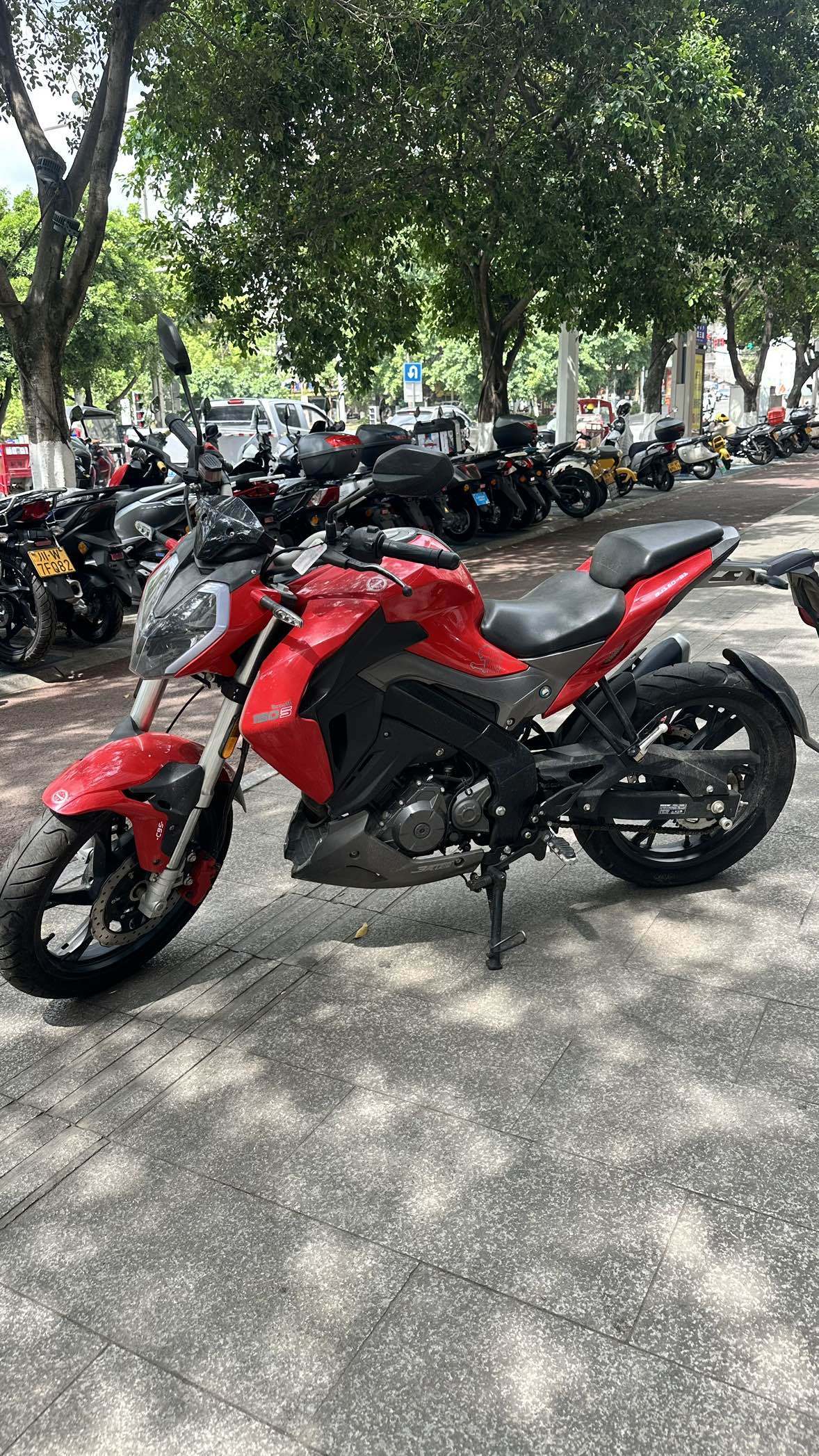 贝纳利 小迅龙 BN150S
