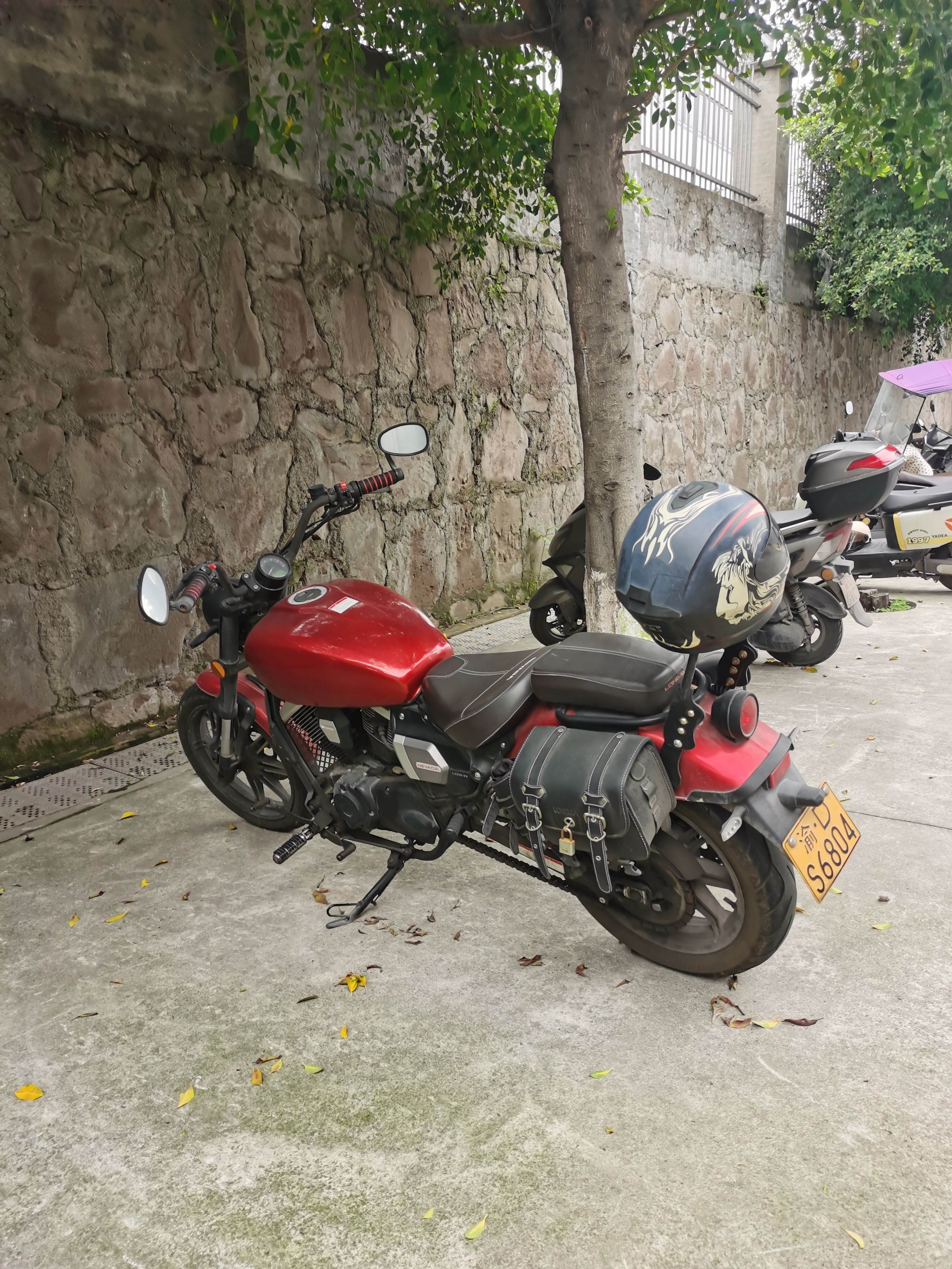 龙嘉 V途250