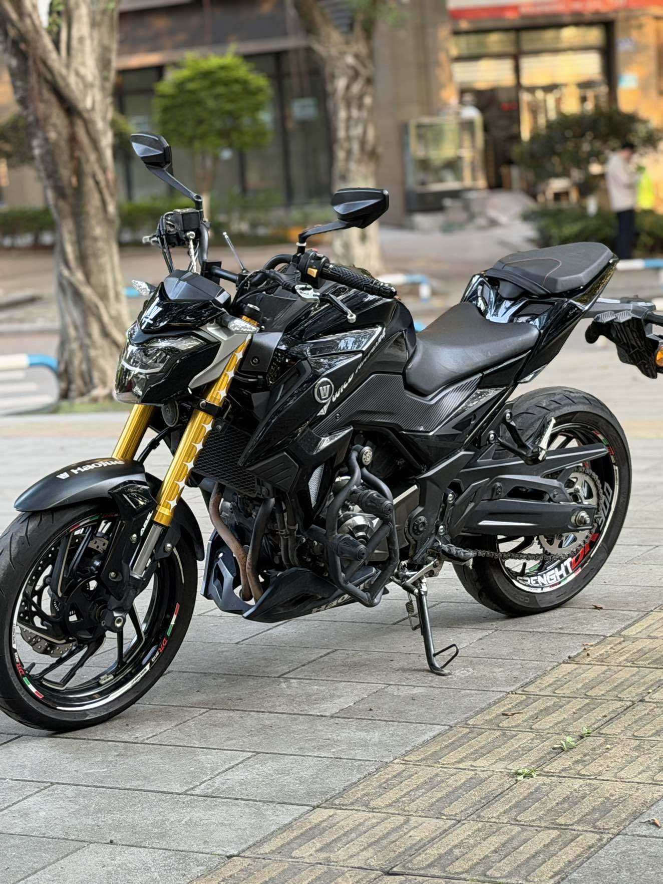 豪爵 DR300
