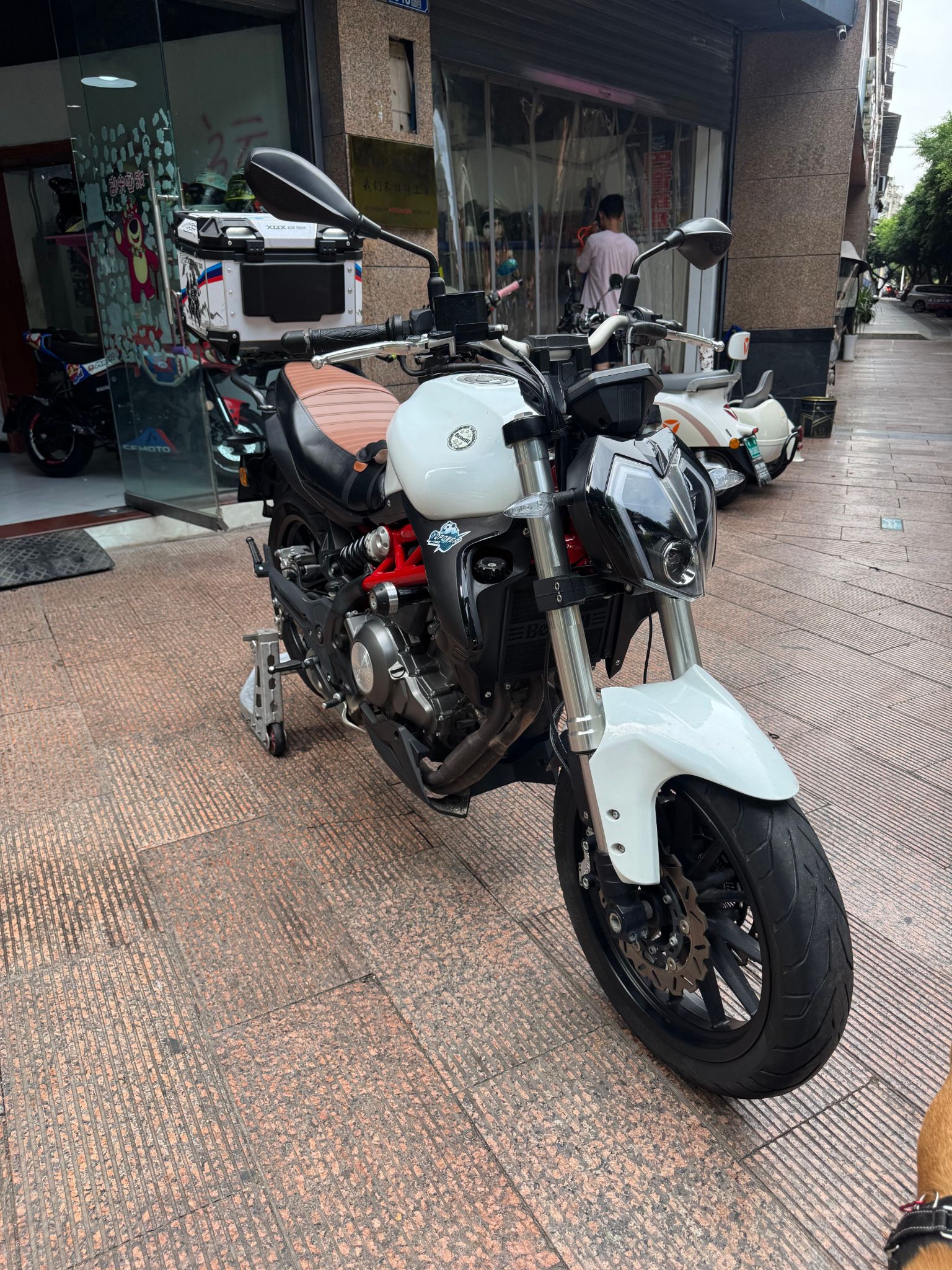 贝纳利 蓝宝龙 BN302S