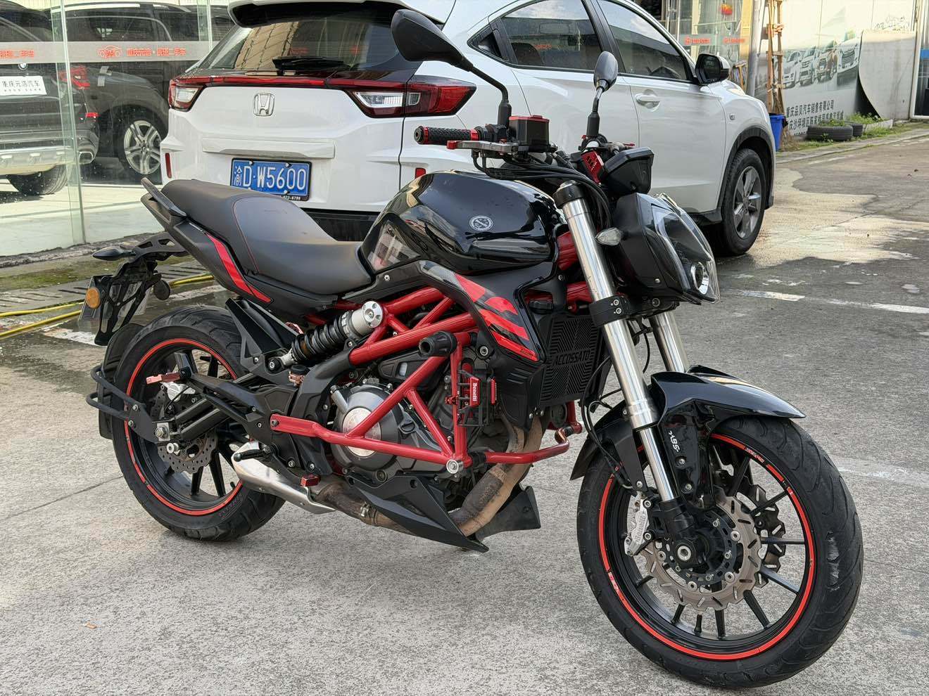 贝纳利 蓝宝龙 BN302S