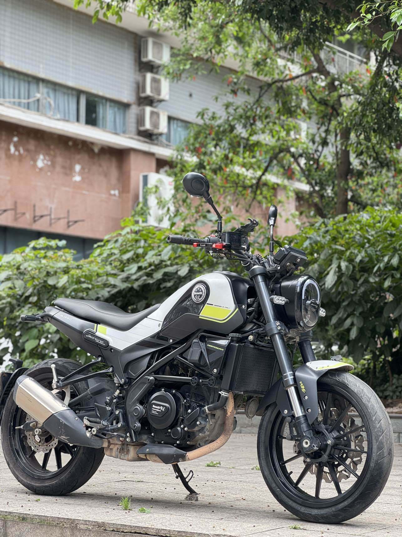 贝纳利 幼狮 Leoncino 250