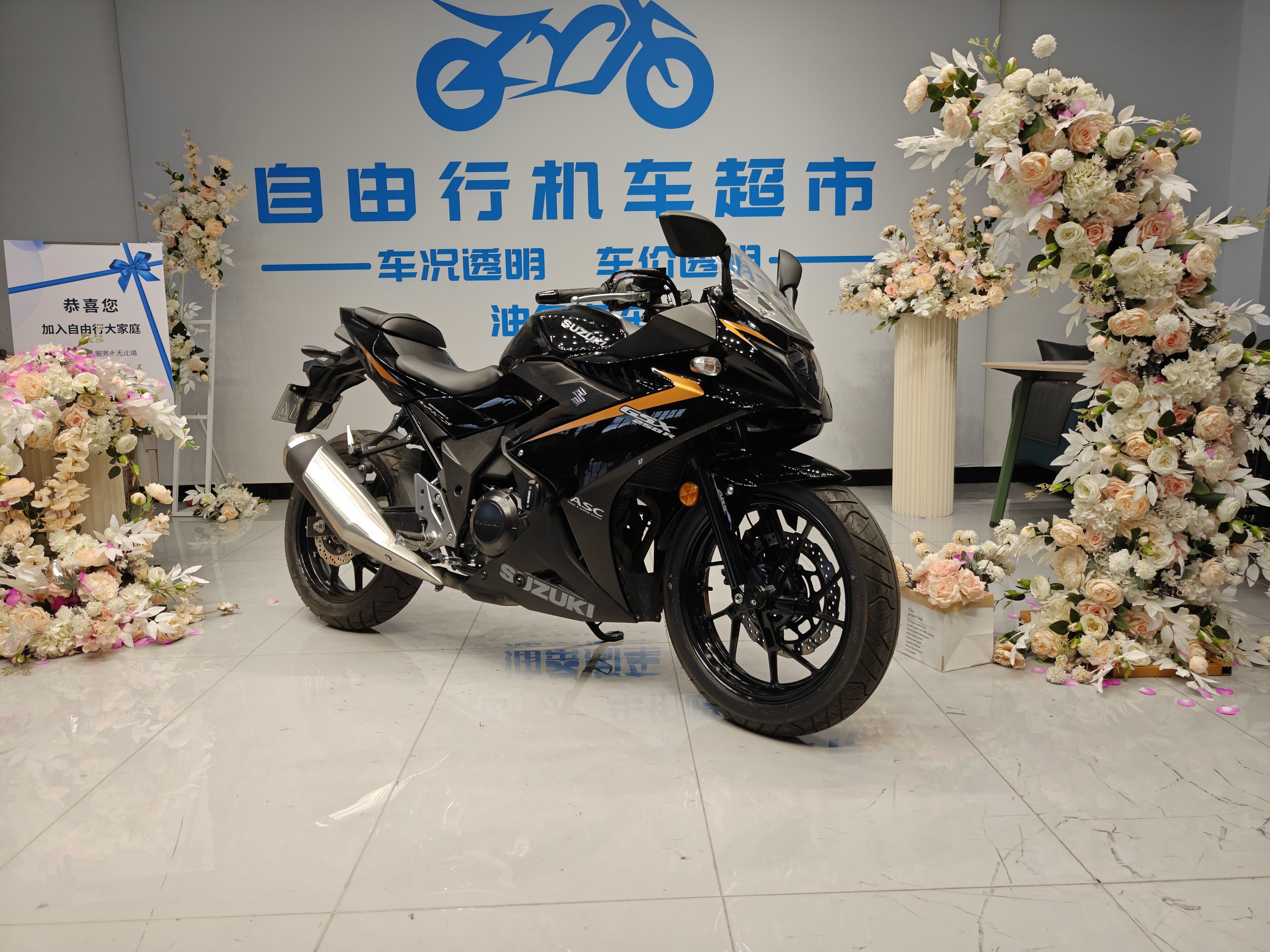 豪爵铃木 GSX250R