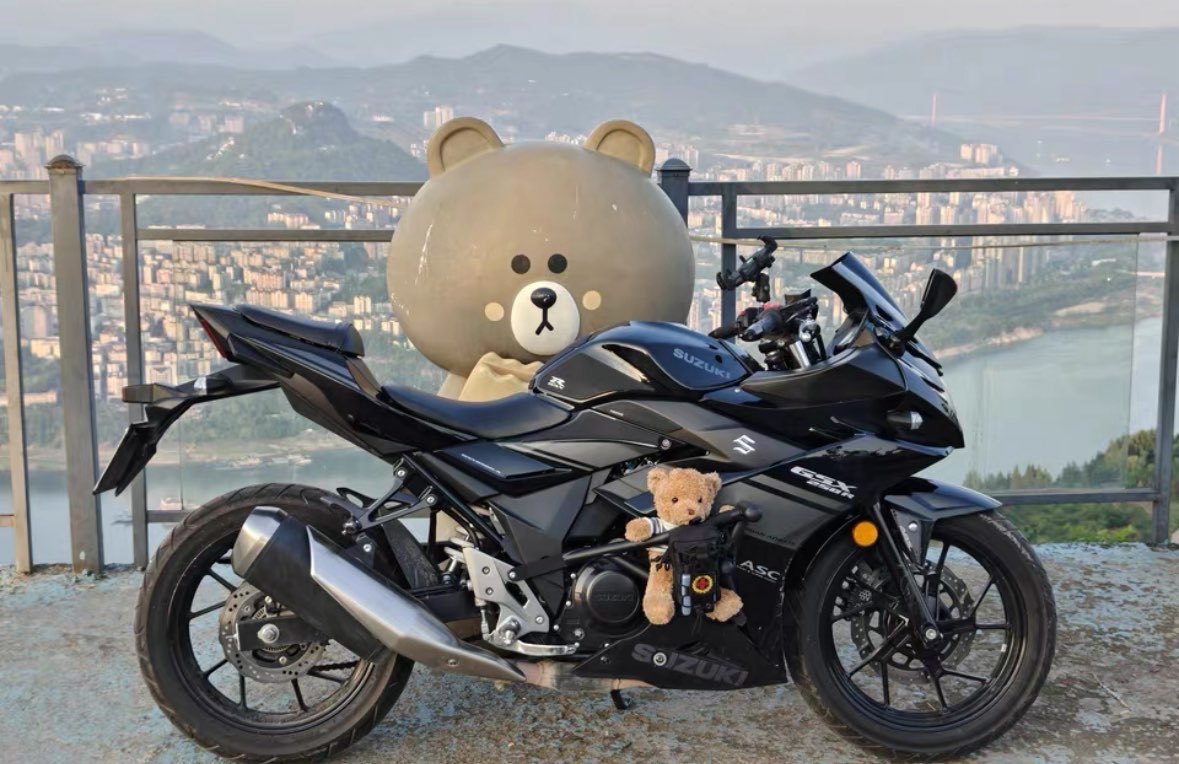 豪爵铃木 GSX250R