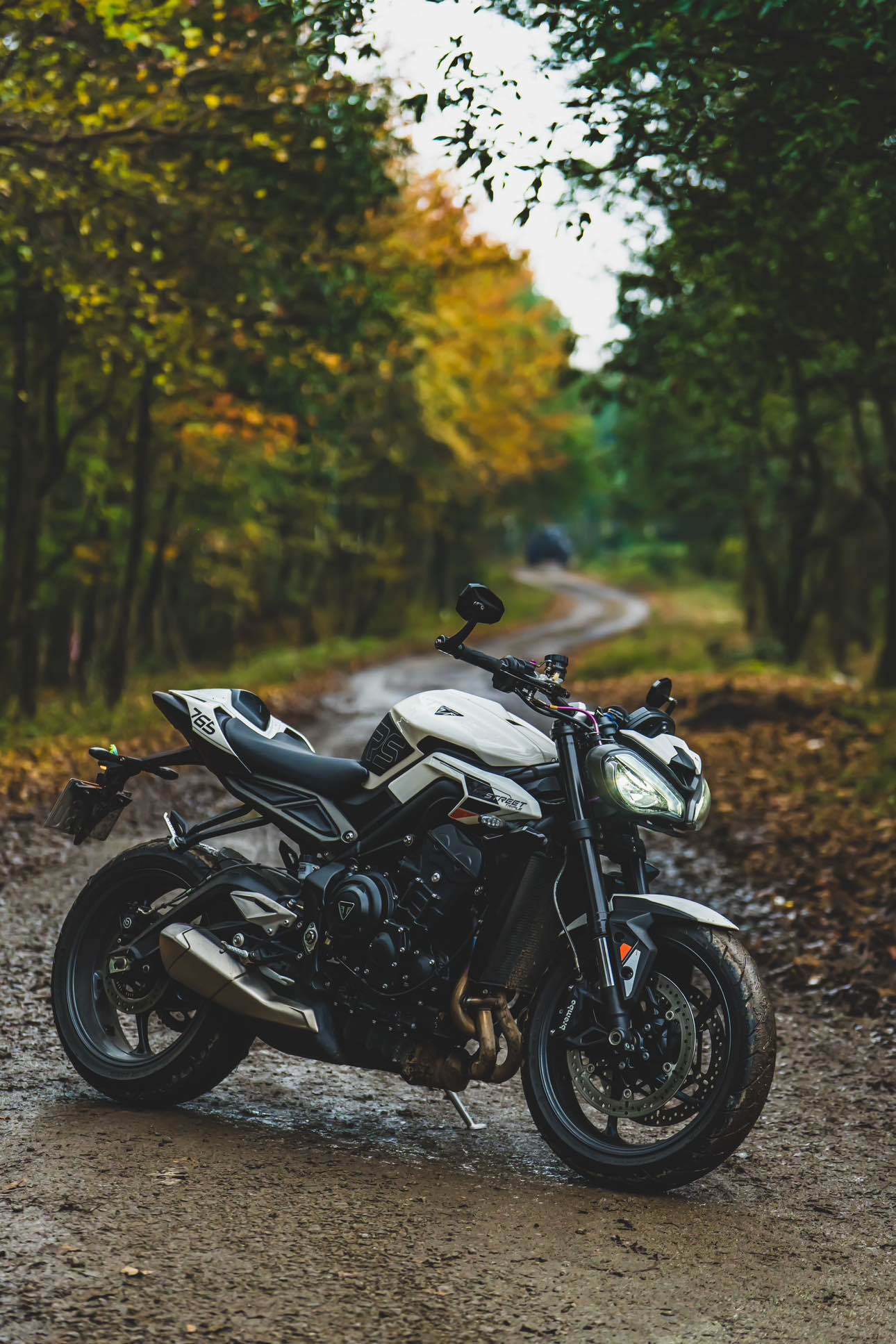 凯旋 Street Triple 765