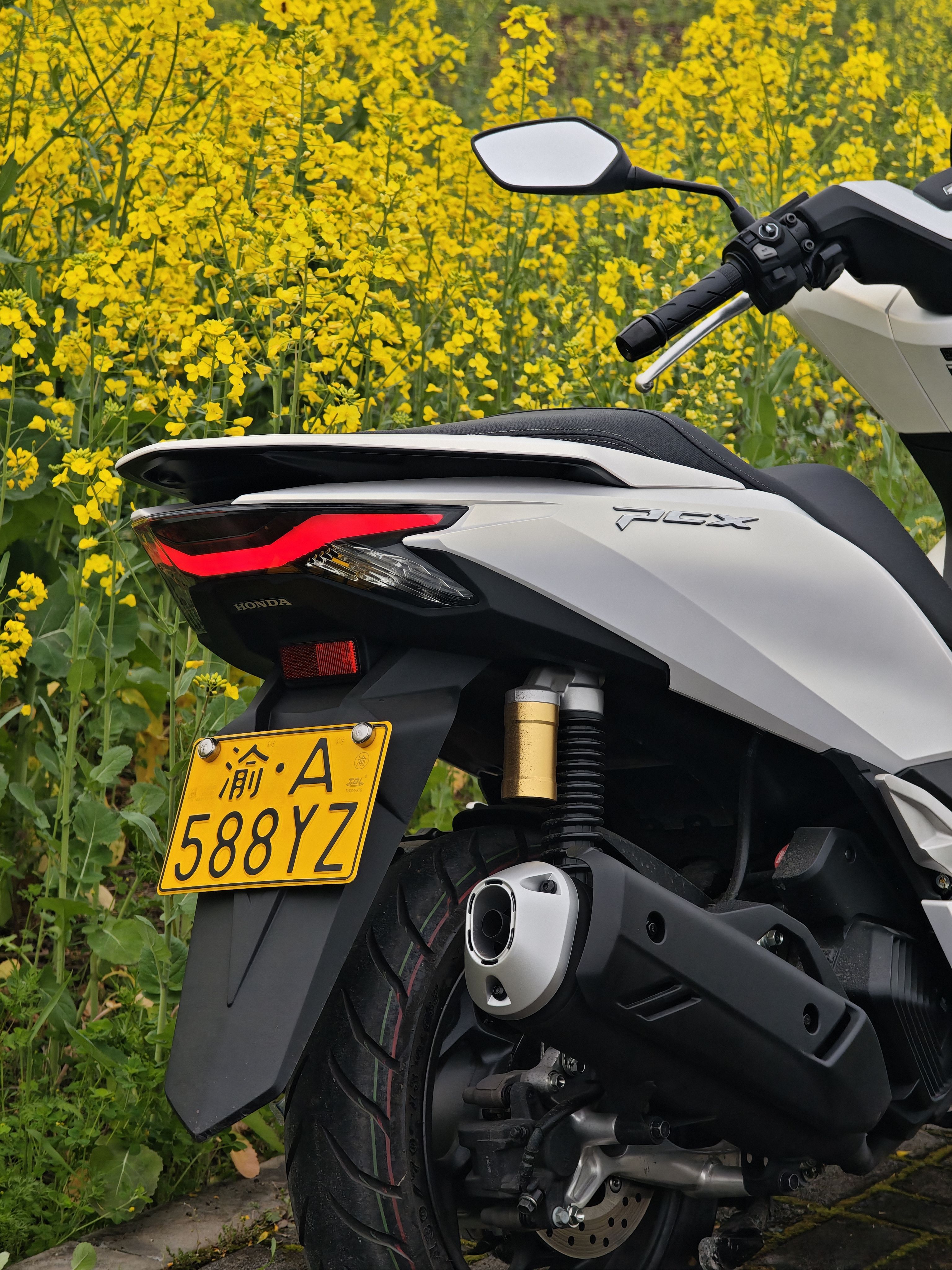 五羊本田 PCX