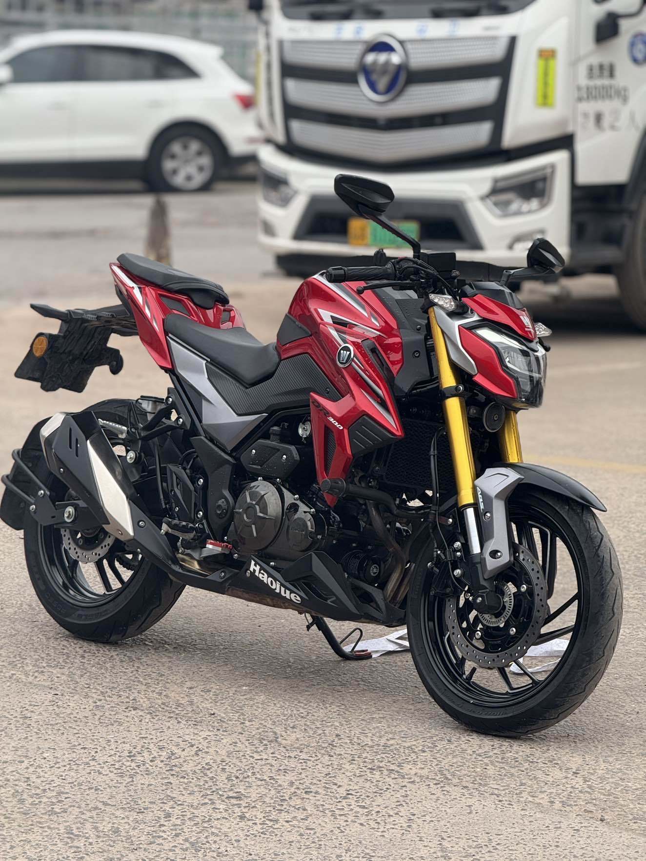 豪爵 DR300