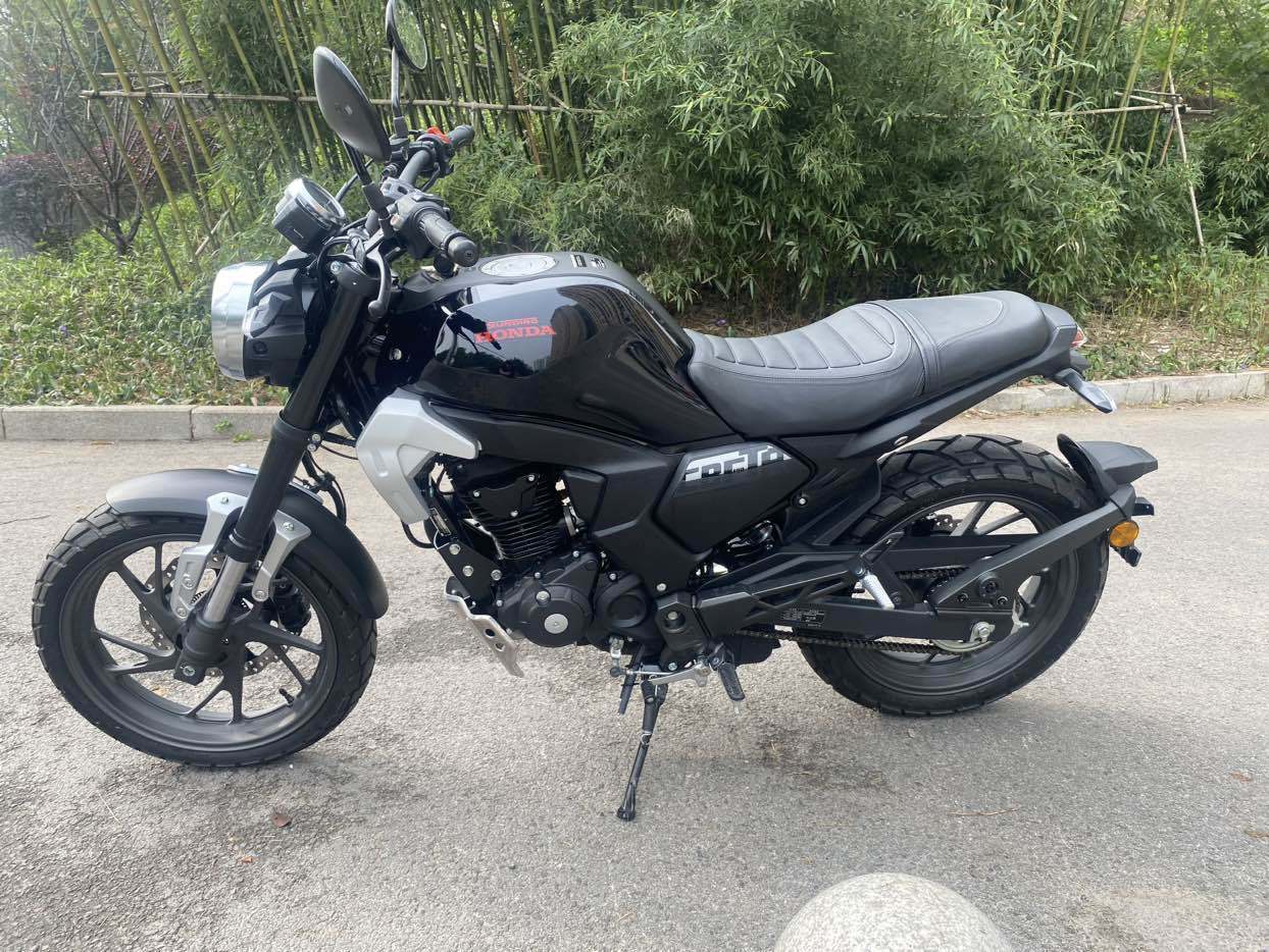 新大洲本田 CBF190TR