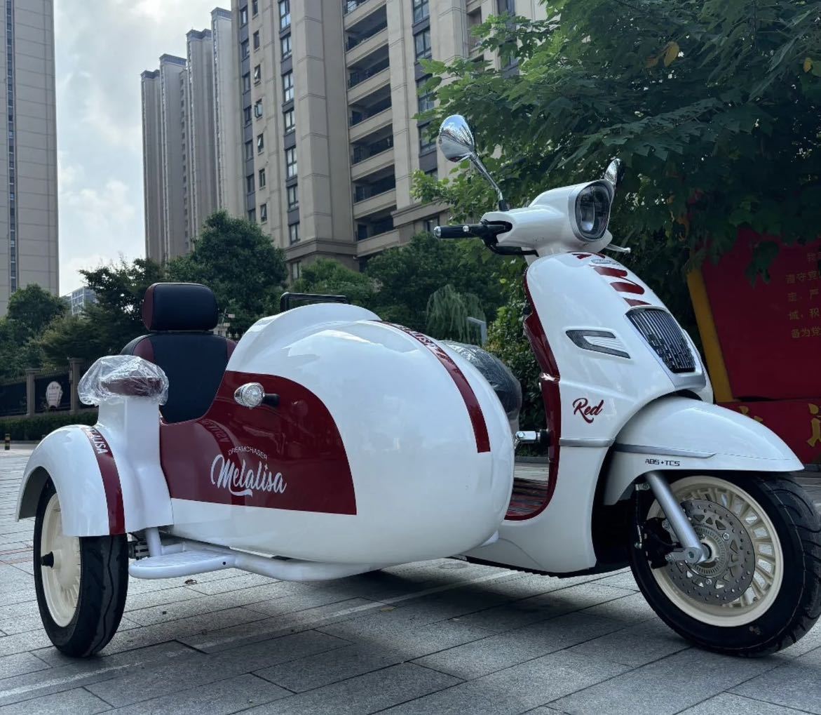 南方 梦拉丽莎 飞戈边三轮