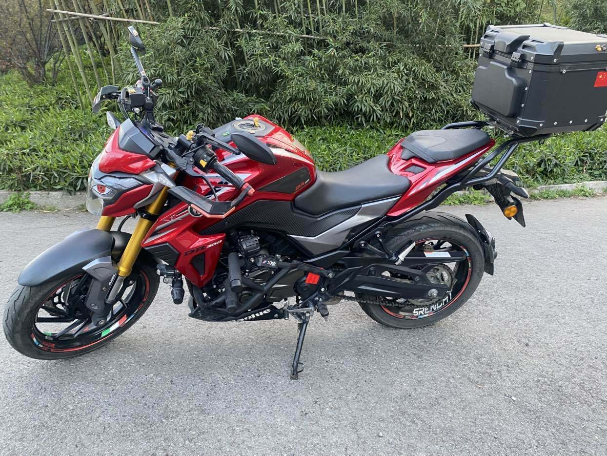 豪爵 DR300