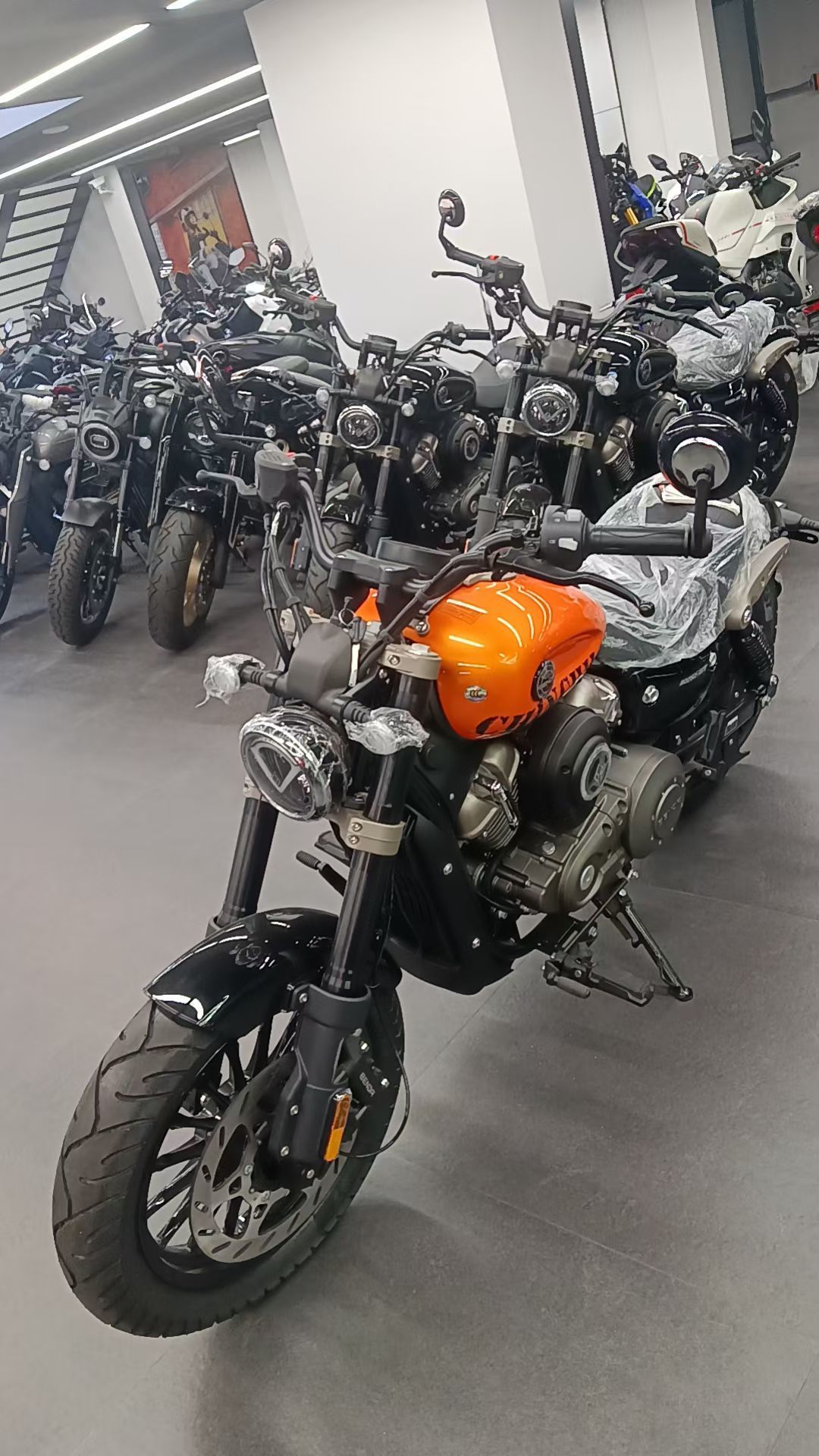 奔达 金吉拉250