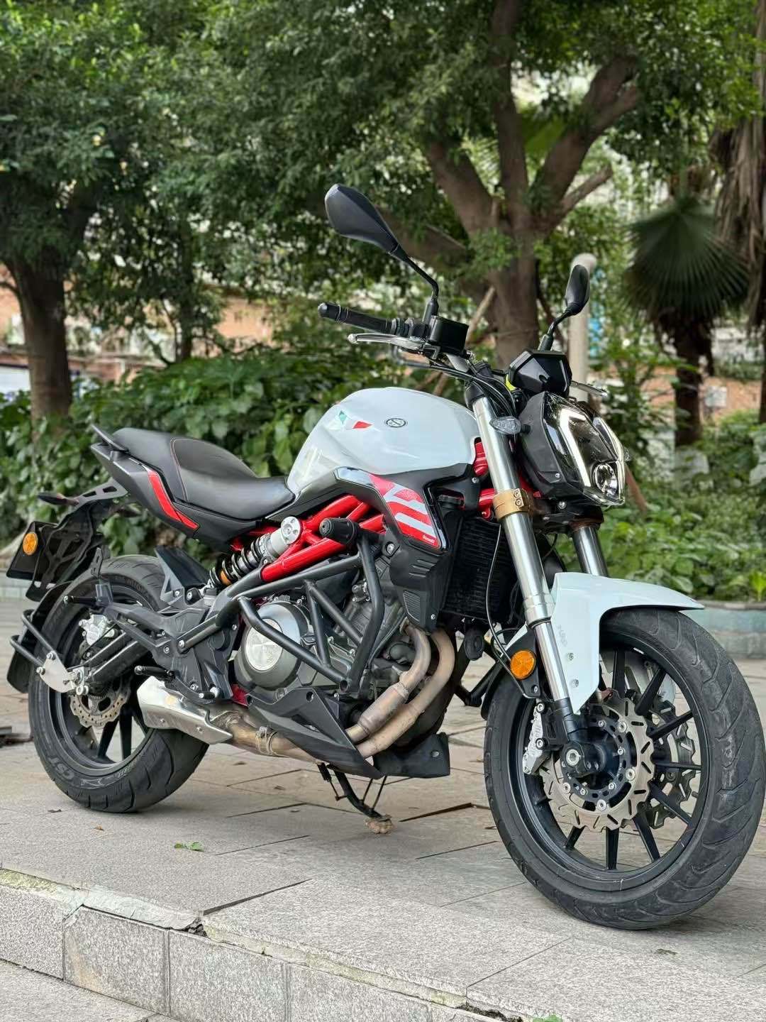 贝纳利 蓝宝龙 BN302S