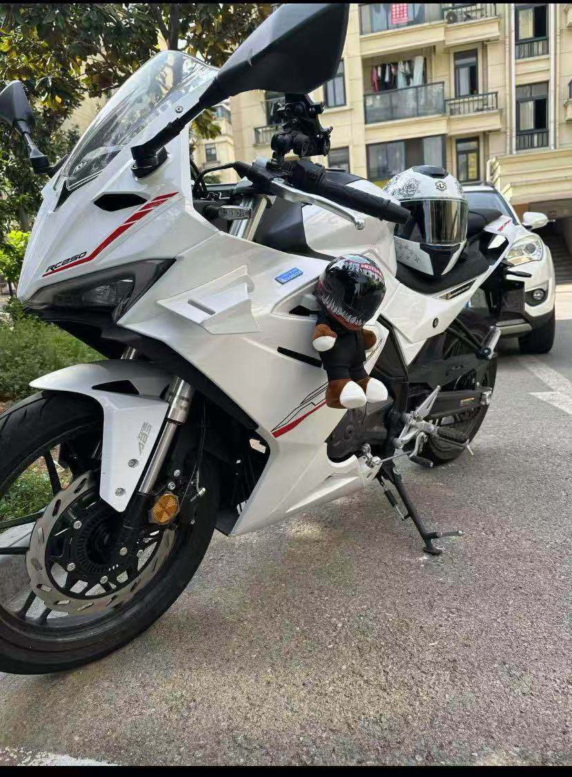 赛科龙 RC250