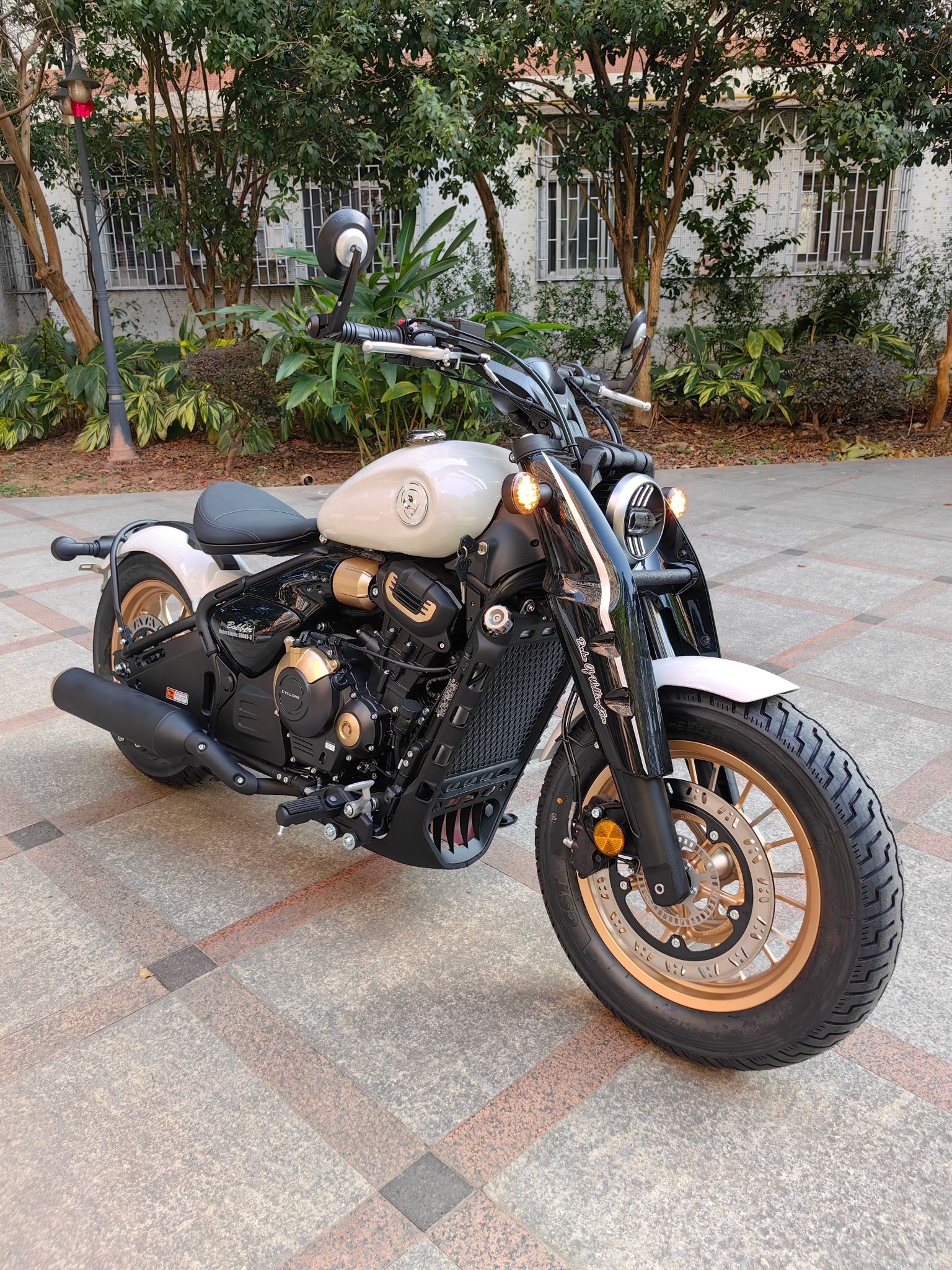 赛科龙 RA600