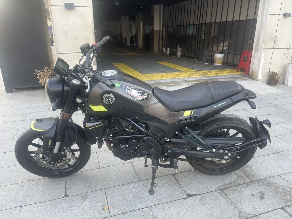 贝纳利 幼狮 Leoncino 250