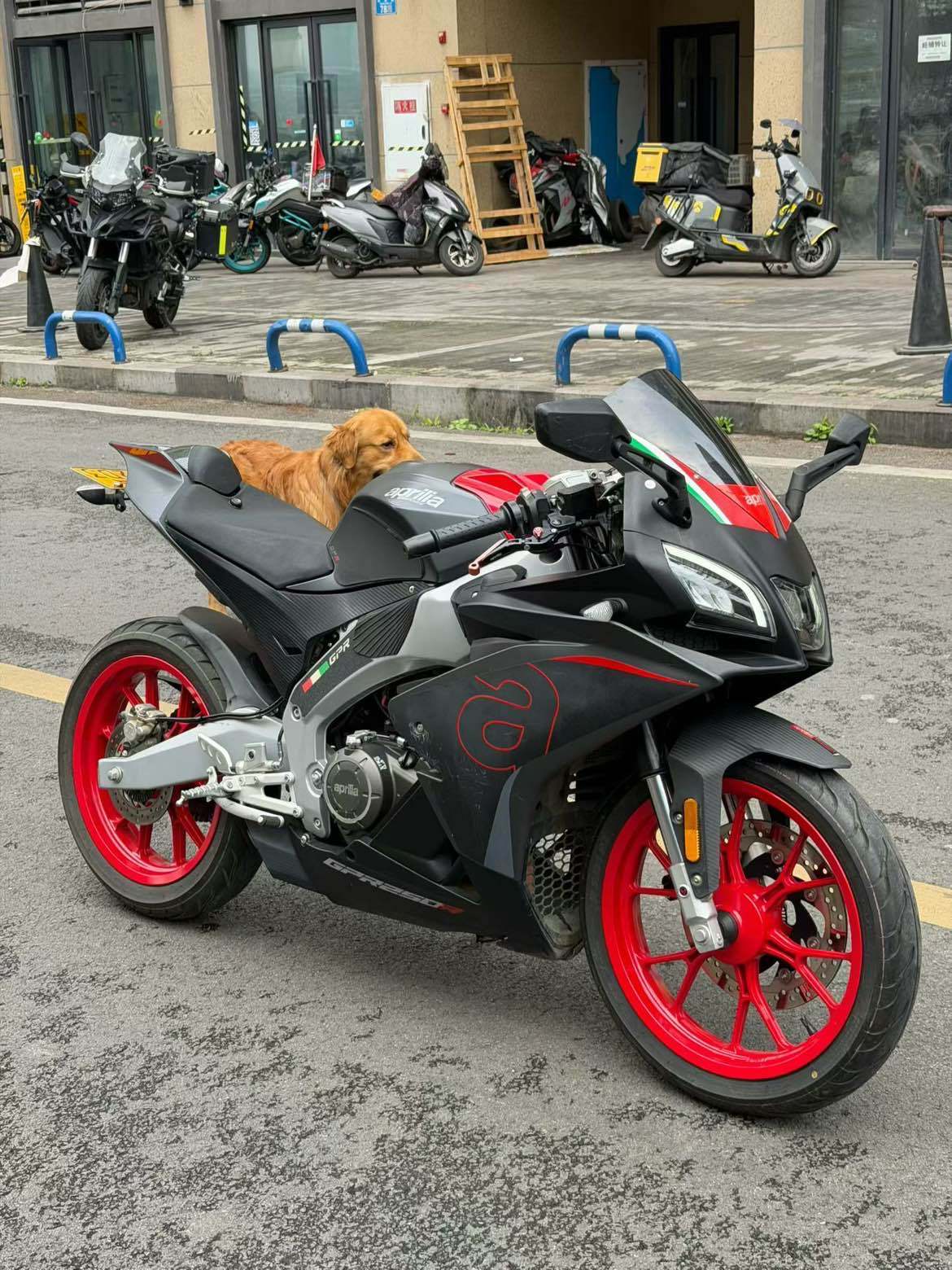 宗申阿普利亚 GPR250R