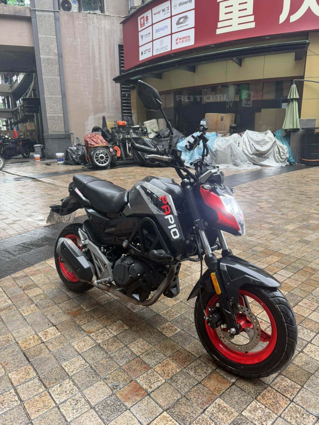 春风 ST狒狒