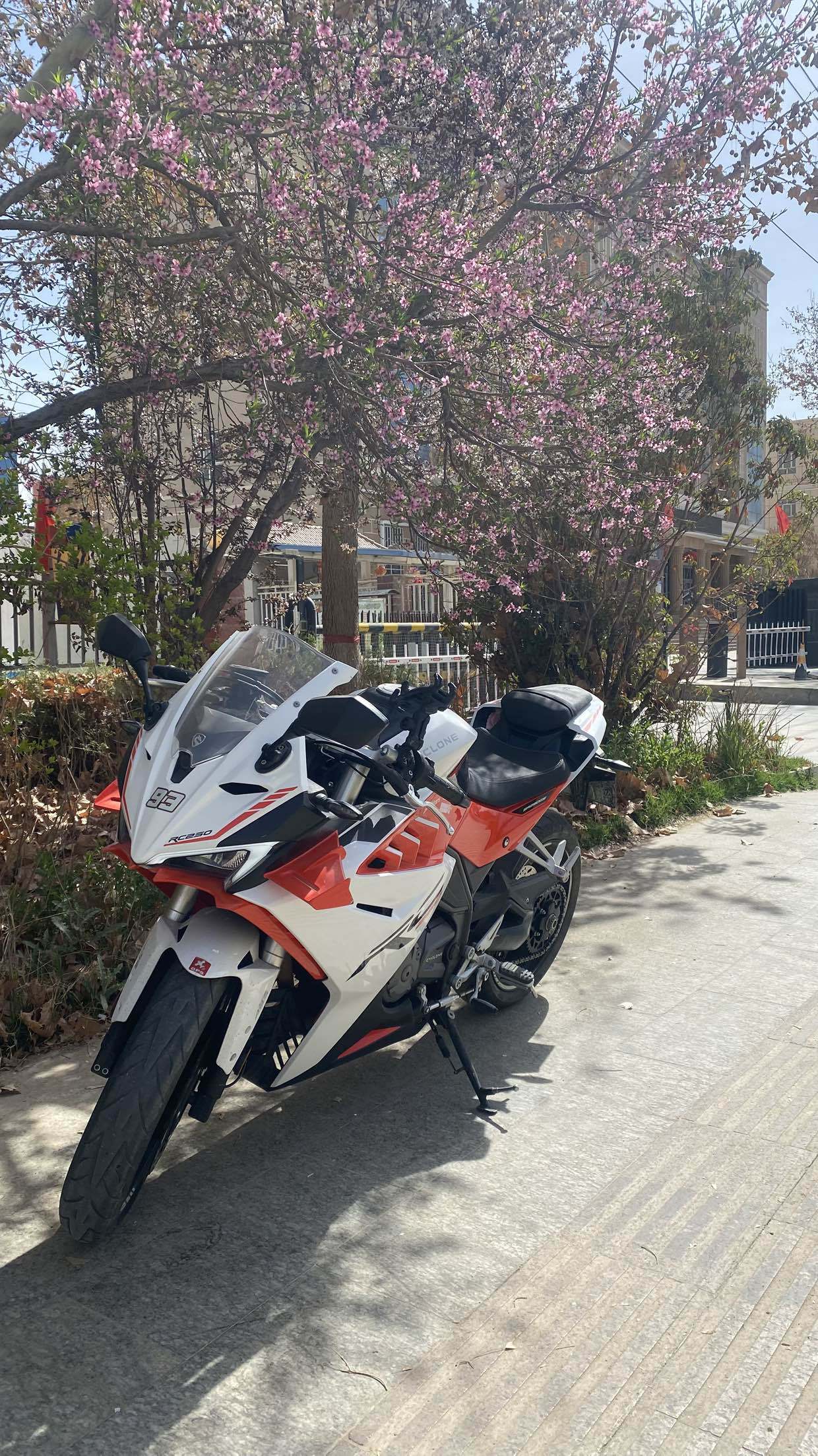 赛科龙 RC250