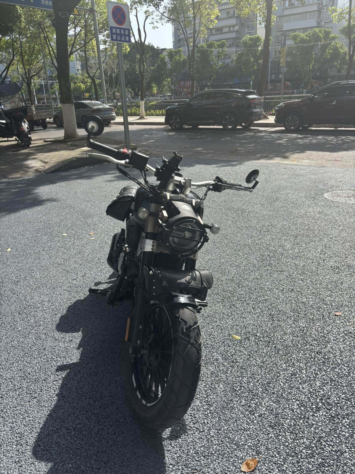 奔达 金吉拉300