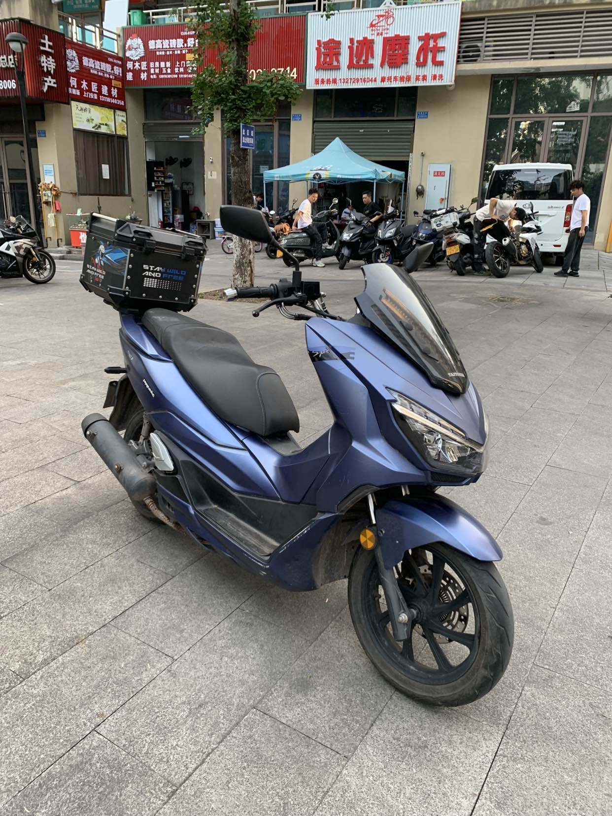 台田TAITONDA 娜吉莉 Nakri150