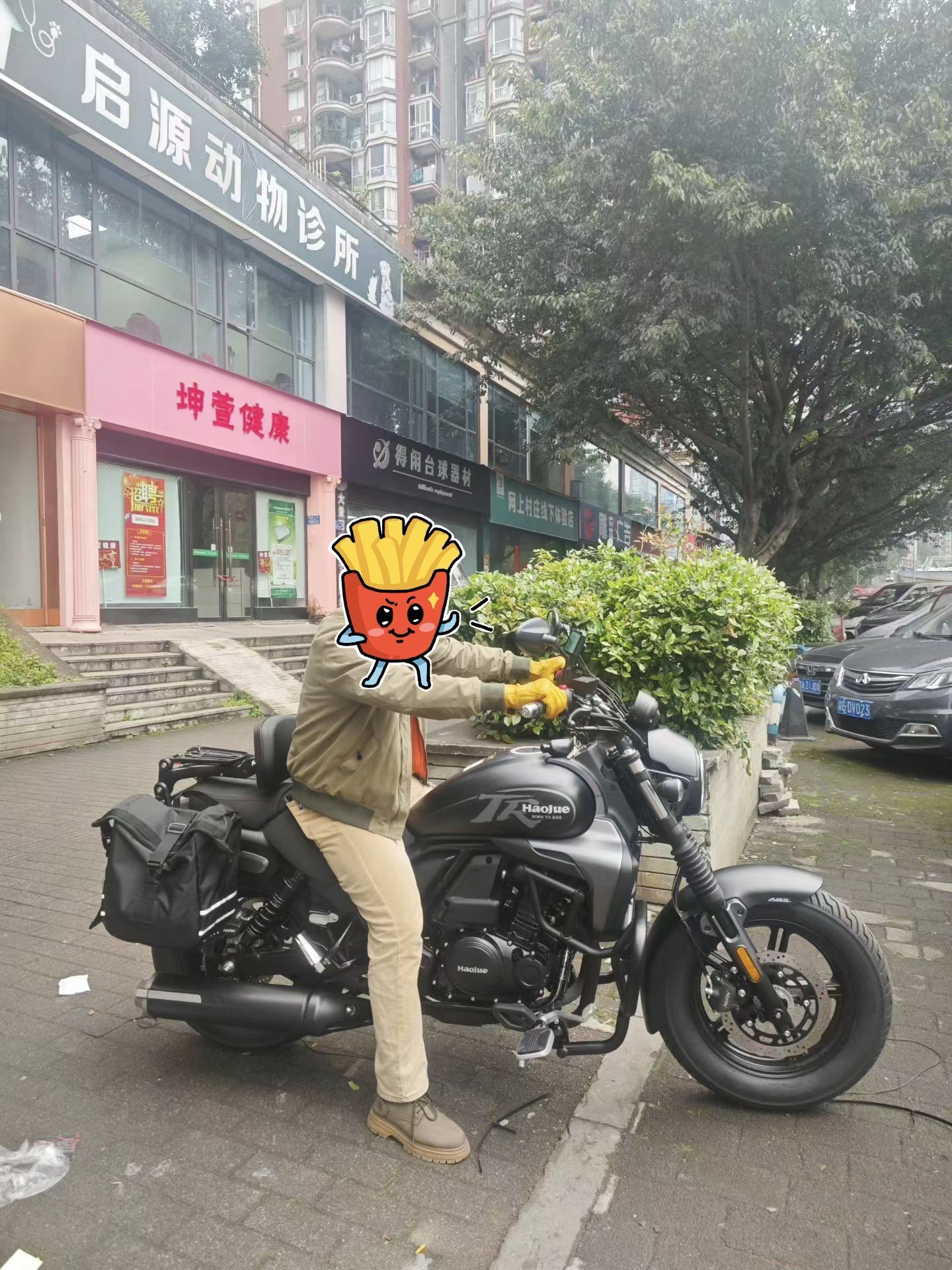 豪爵 TR300