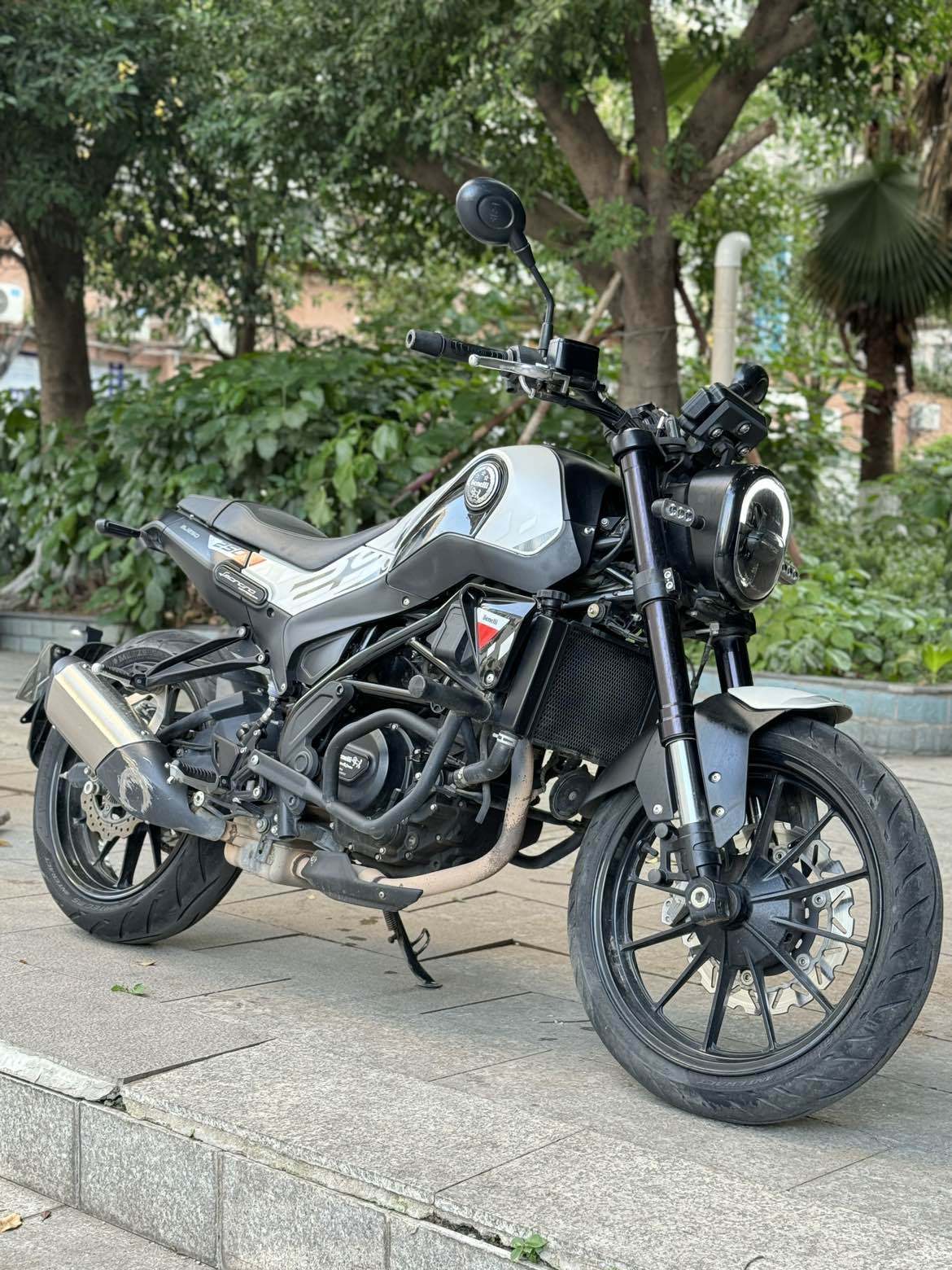 贝纳利 幼狮 Leoncino 250