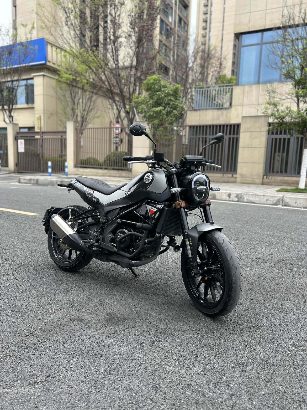 贝纳利 幼狮 Leoncino 250