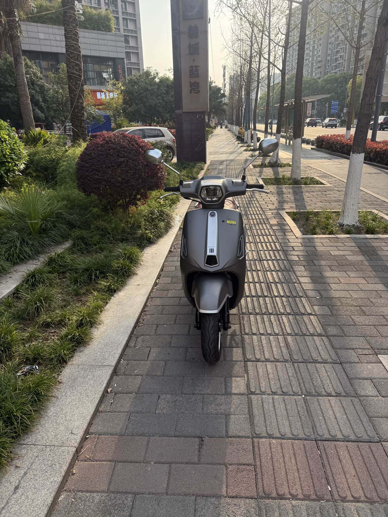 嘉陵 巧乐