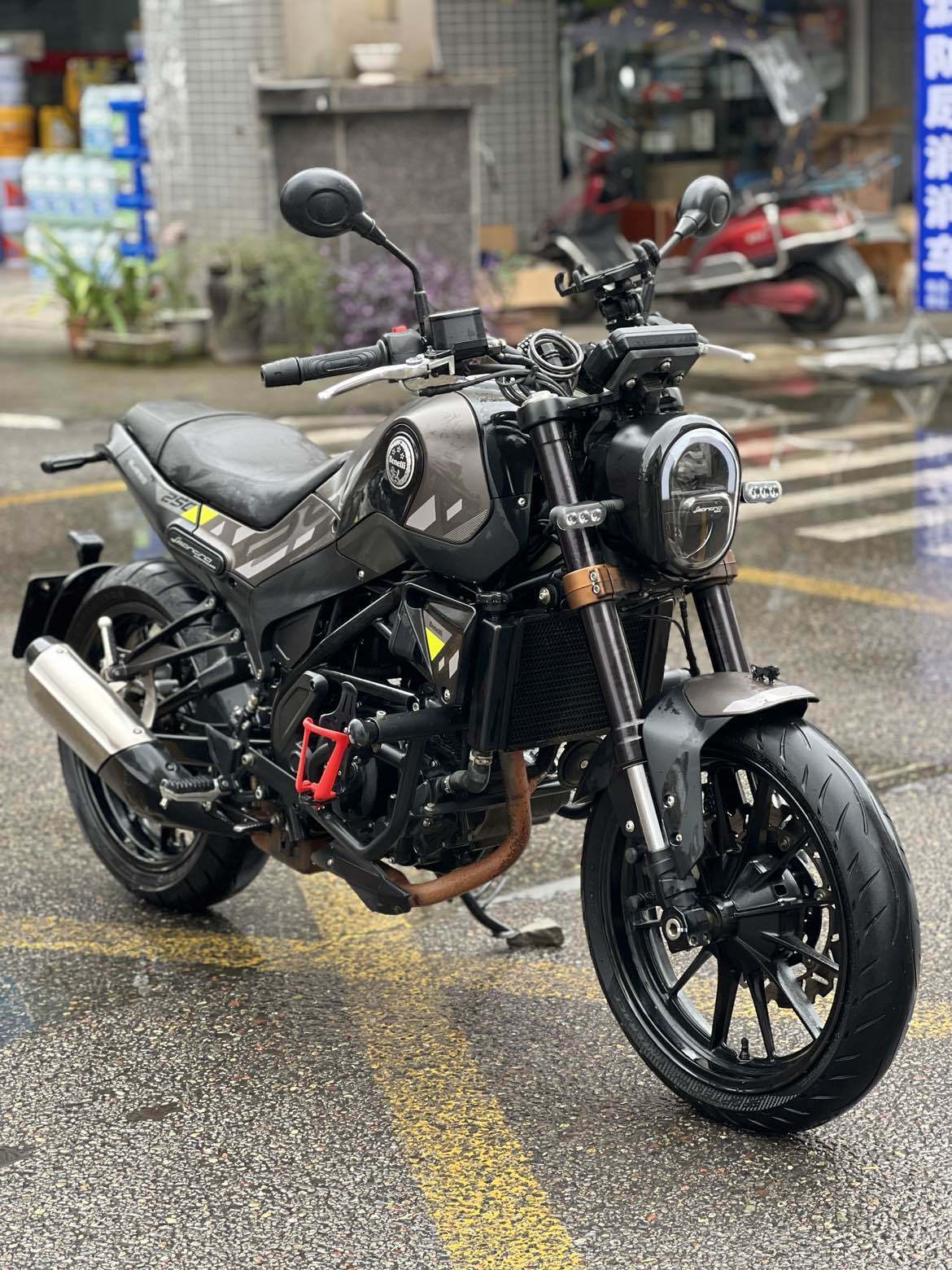 贝纳利 幼狮 Leoncino 250