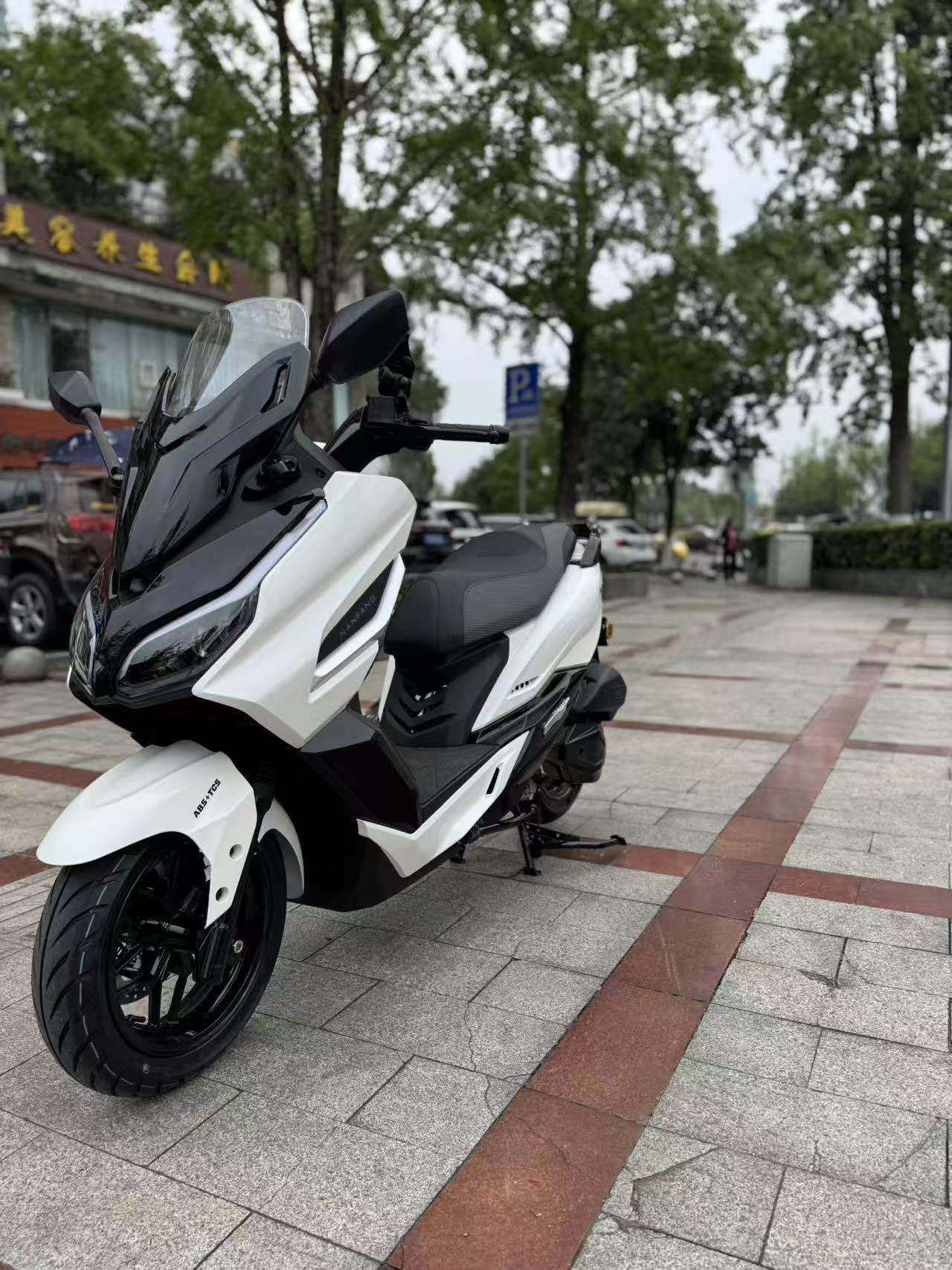 南方 飞鲨