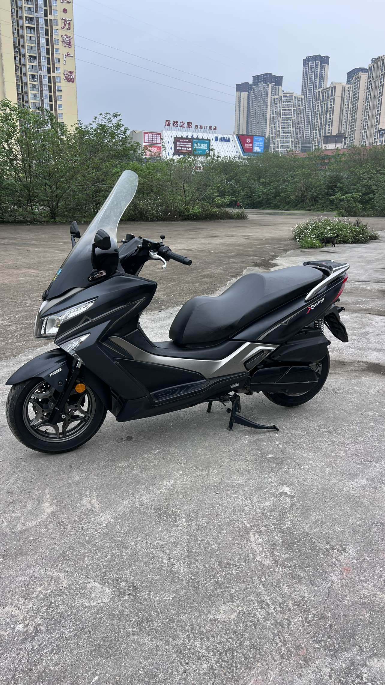 光阳 赛艇 250