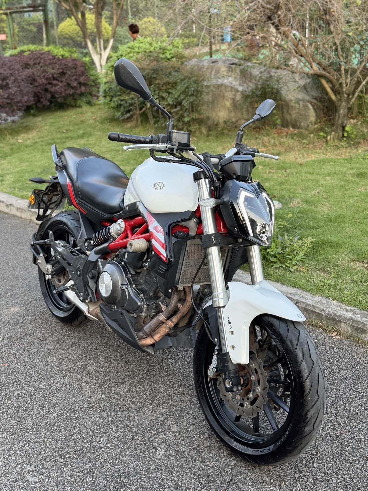 贝纳利 蓝宝龙 BN302S