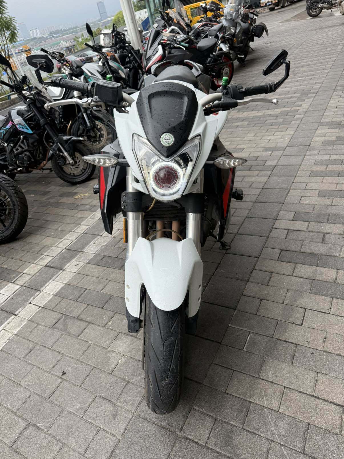 贝纳利 TNT600i