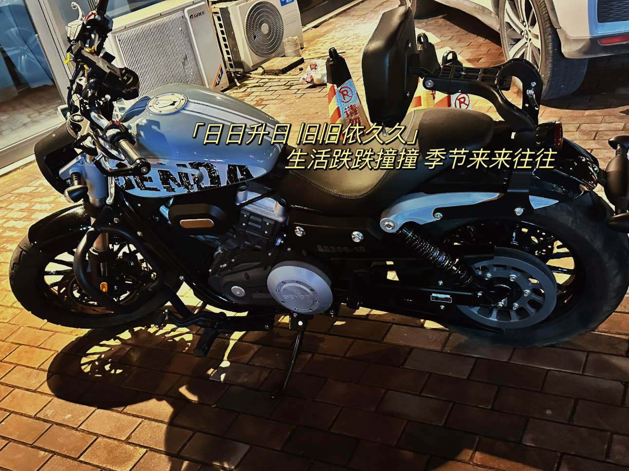 奔达 金吉拉300