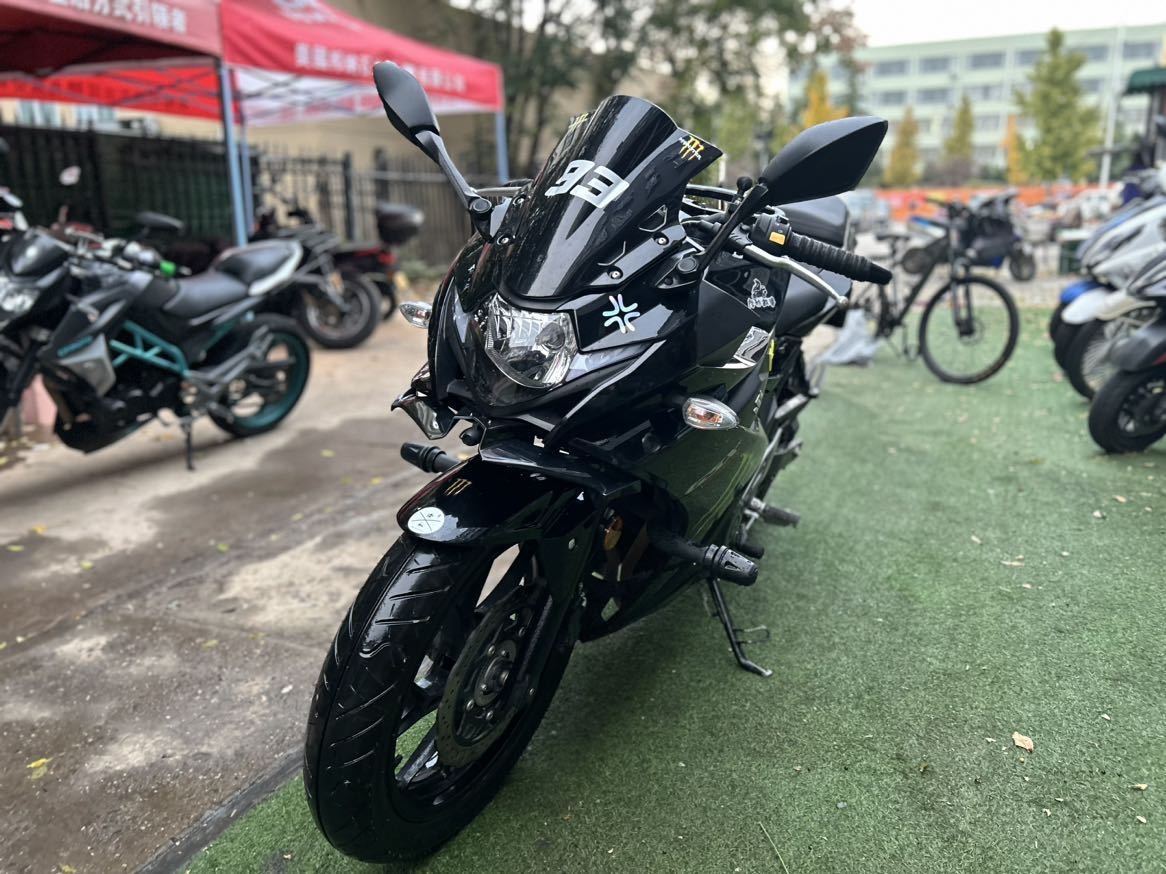 豪爵铃木 GSX250R