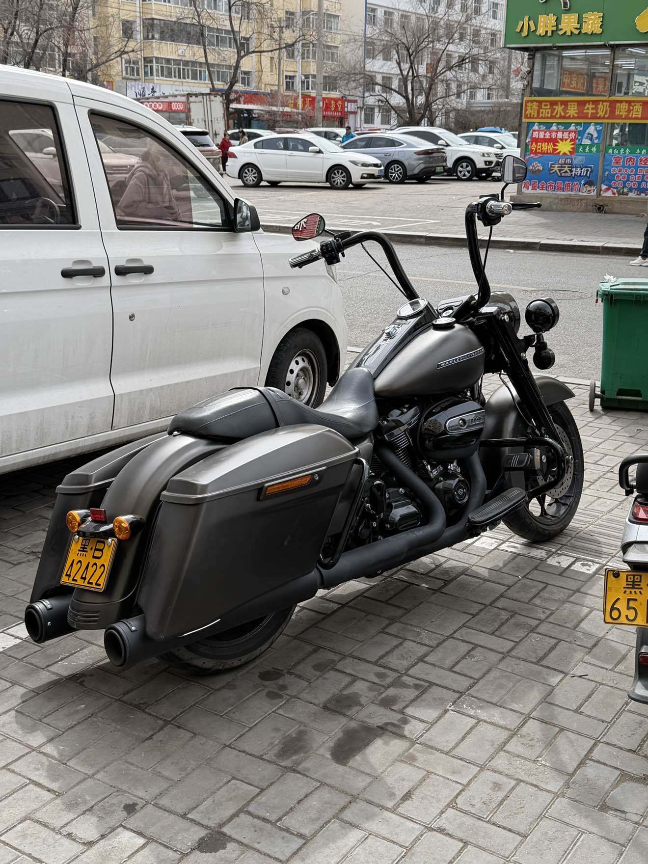 哈雷戴维森  路王定制版 Road King Special