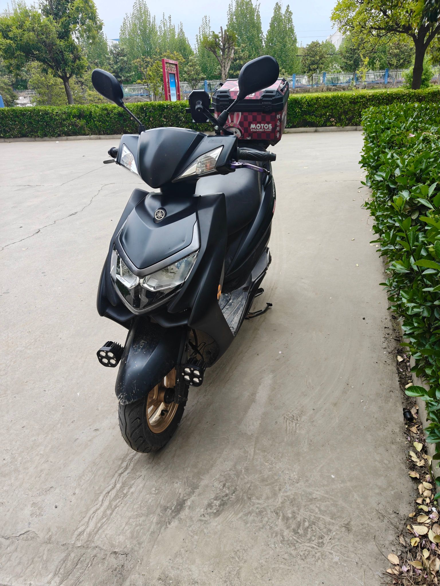 建设雅马哈 赛鹰GT