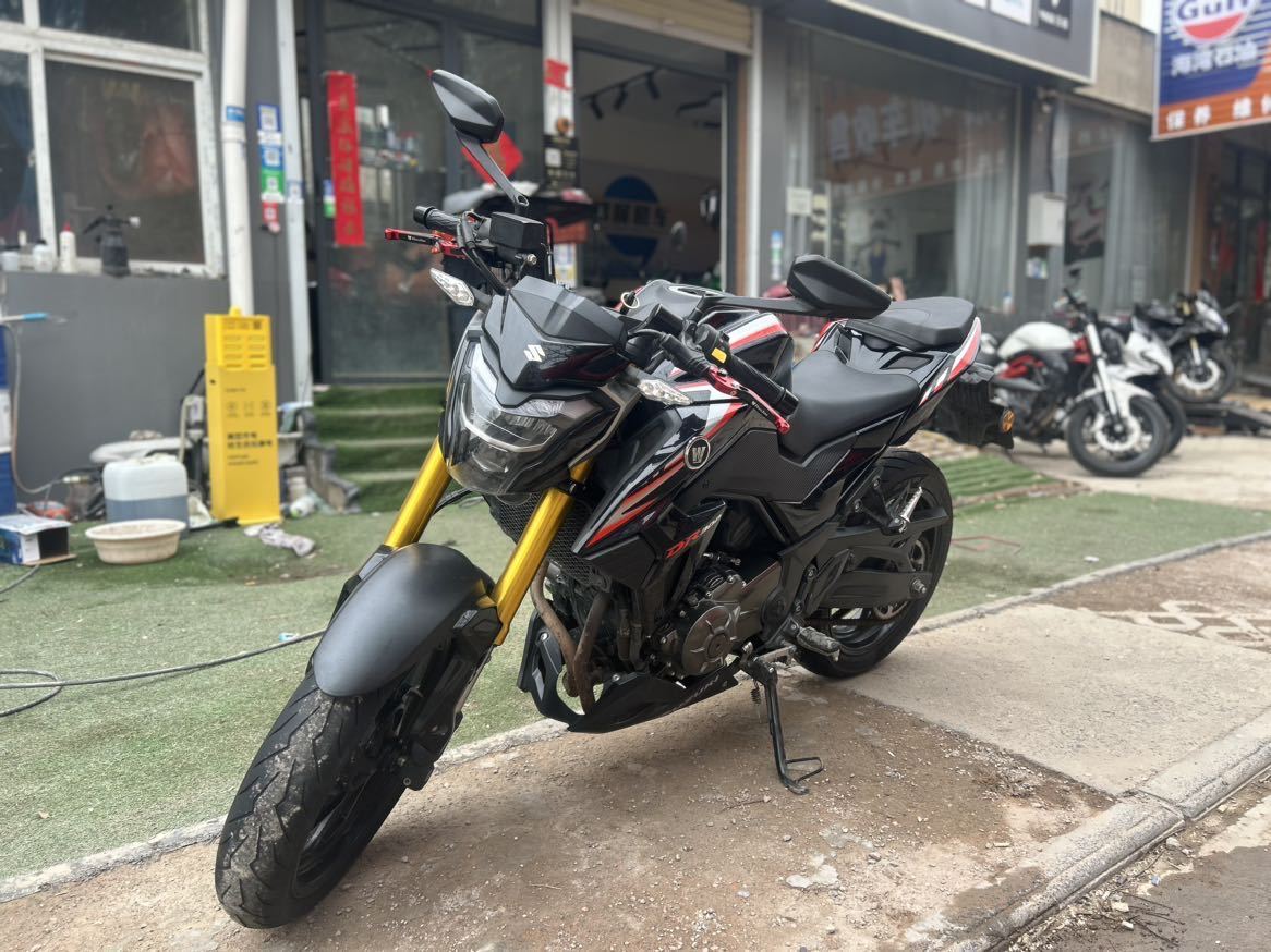 豪爵 DR300