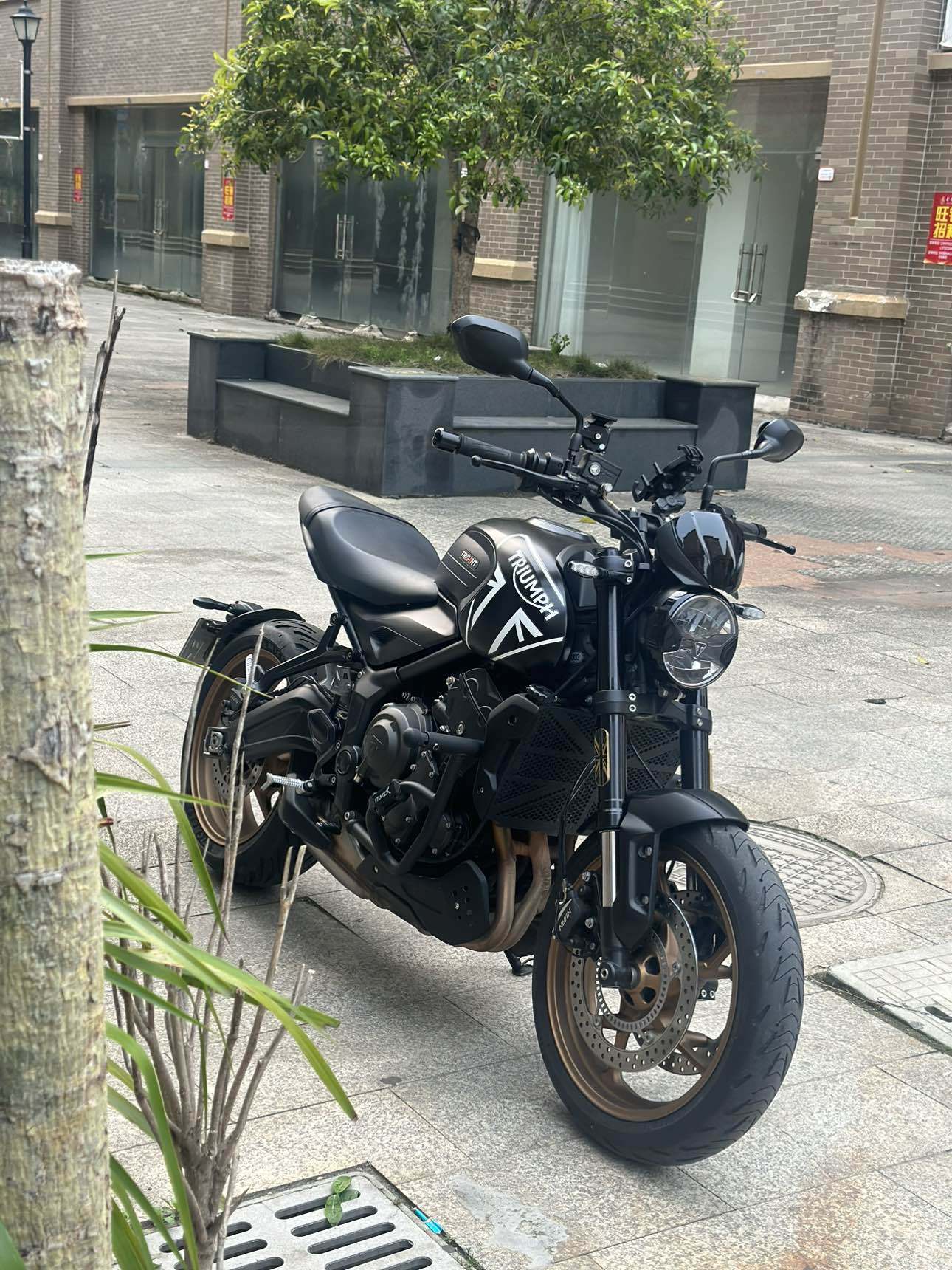 凯旋 Trident 660