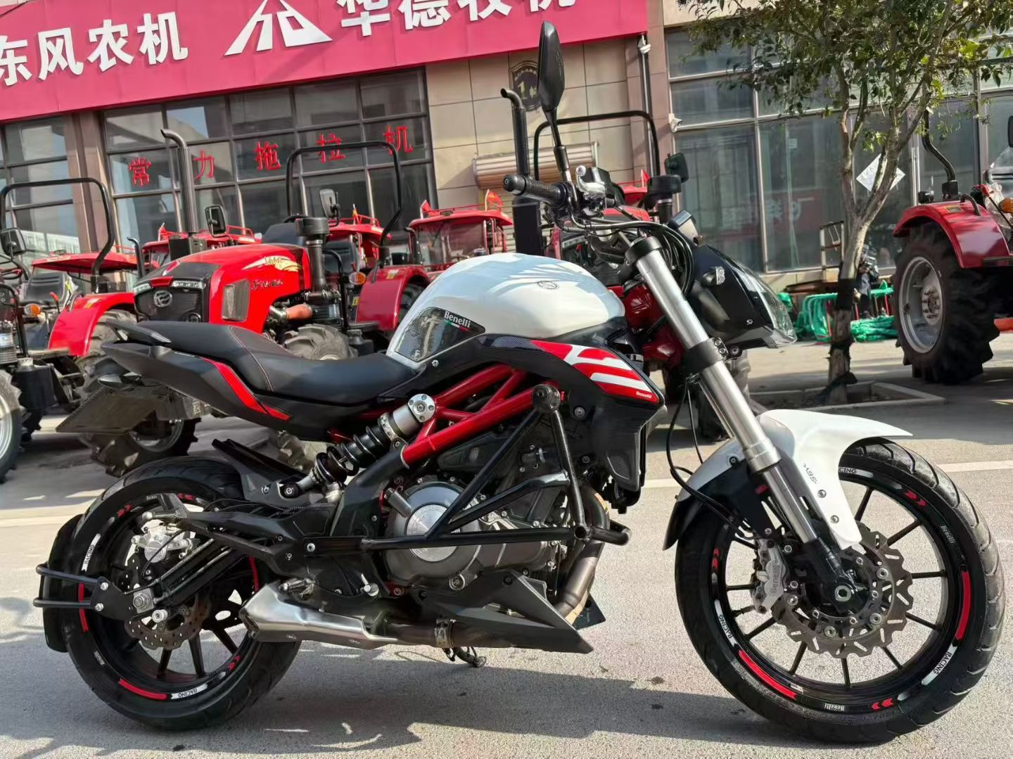 贝纳利 蓝宝龙 BN302S