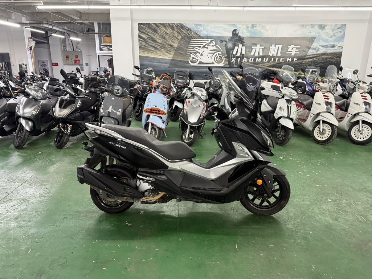 SYM三阳 巡弋 Cruisym 300