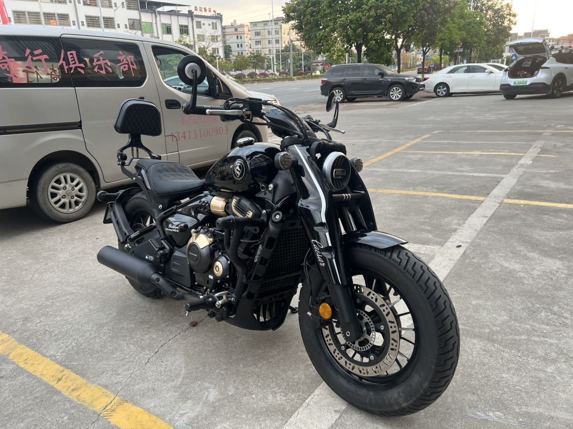 赛科龙 RA600
