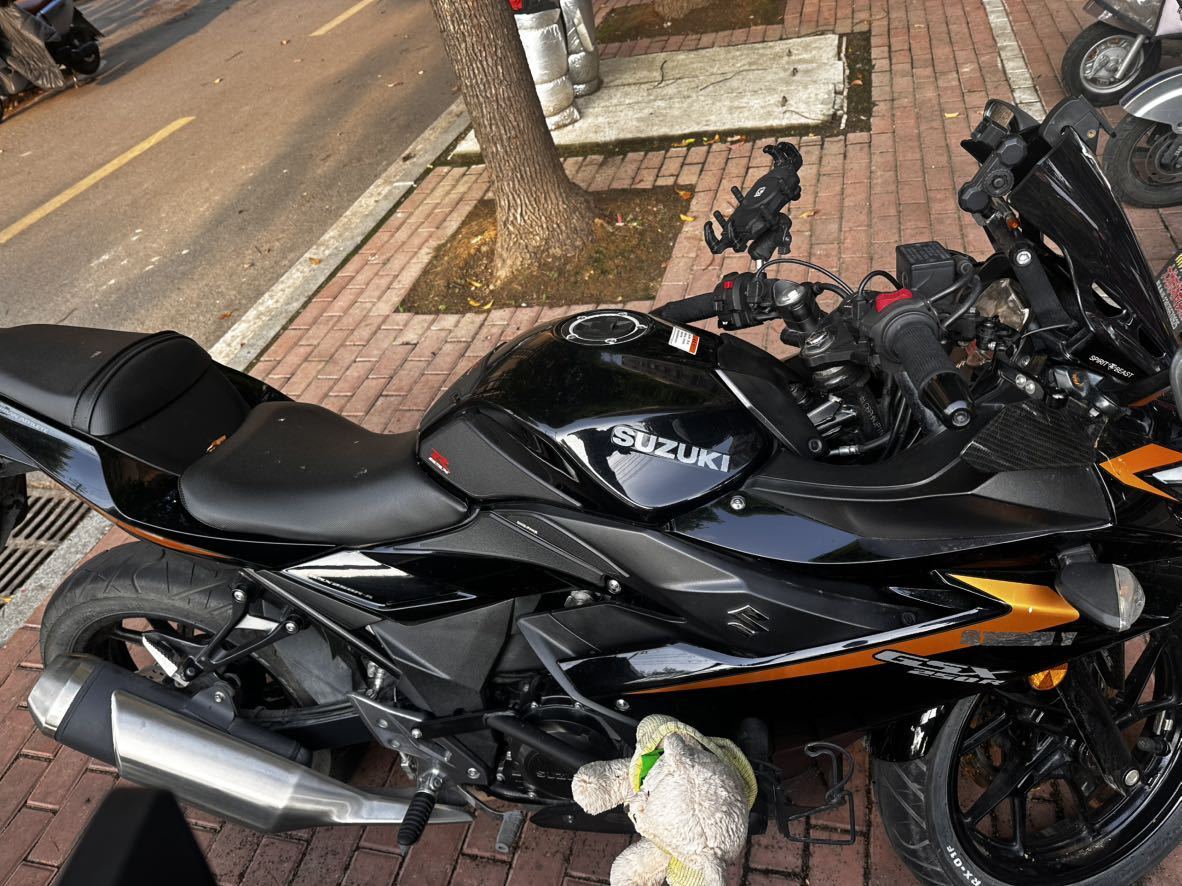 豪爵铃木 GSX250R