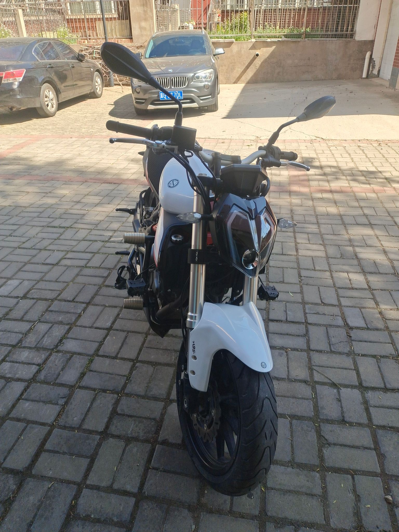 贝纳利 蓝宝龙 BN302S