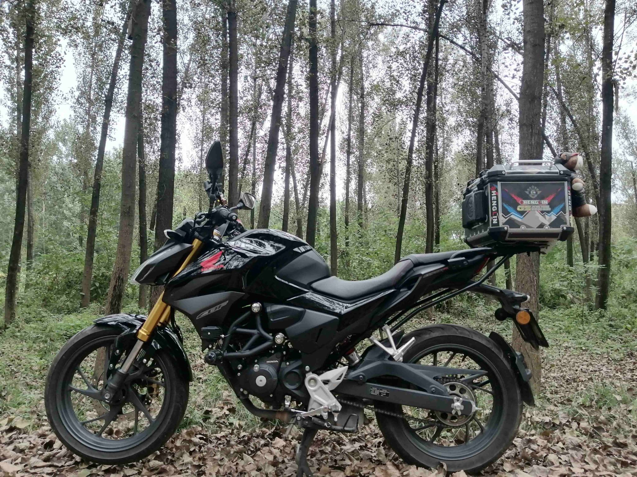 新大洲本田 CBF190R